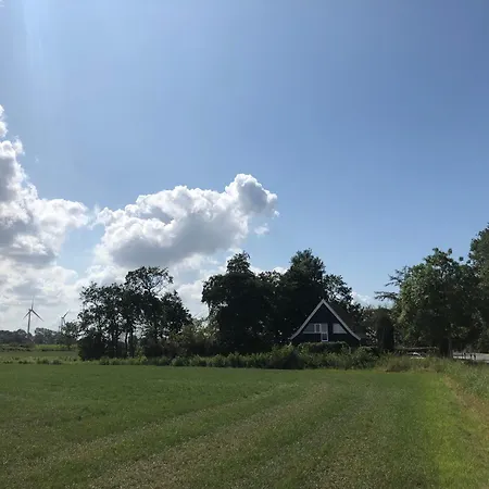 Zugvogel Og Schillig