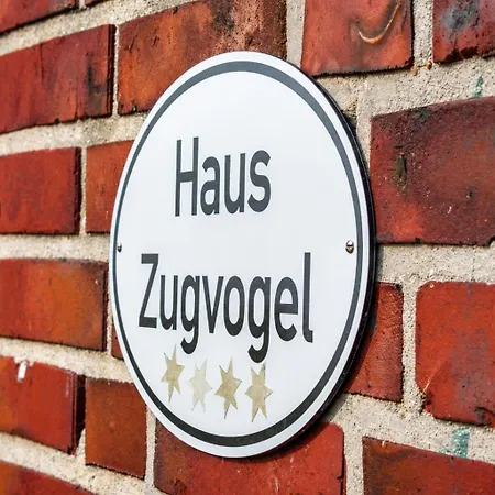 Zugvogel Og Schillig