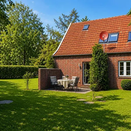 Zugvogel Og * Schillig