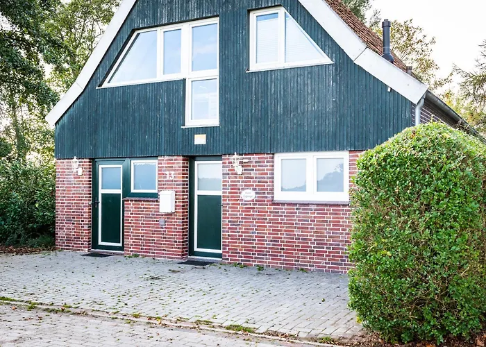 Zugvogel Og 西里格