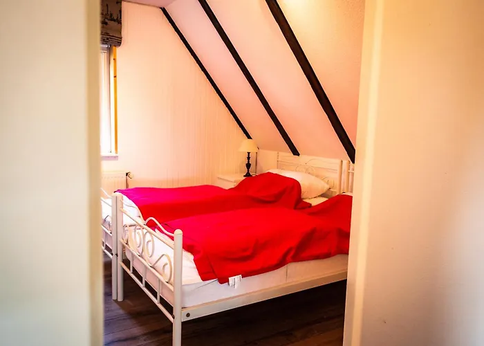 Zugvogel Og * 西里格