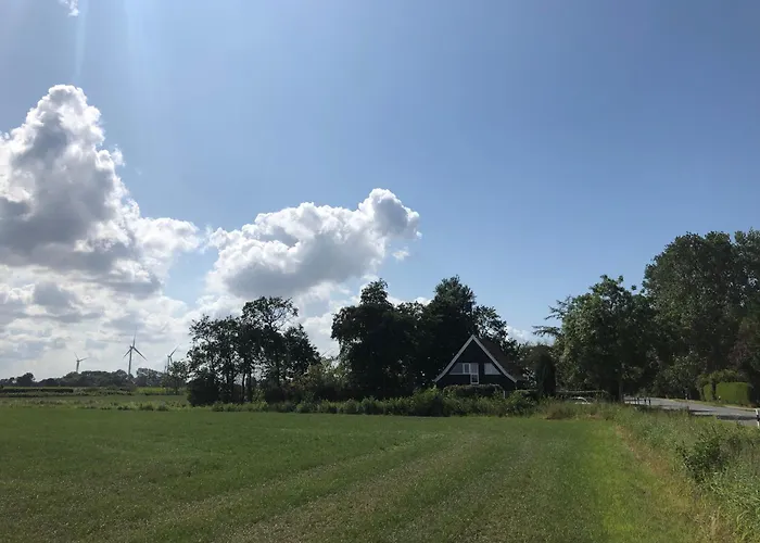 Zugvogel Og 西里格