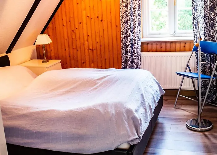 Zugvogel Og * 西里格